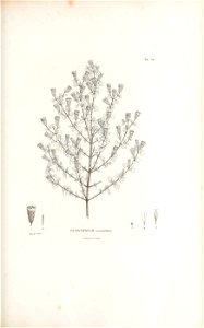 n180_w1150