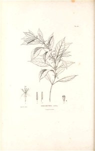 n465_w1150