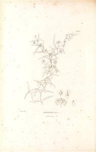 n259_w1150