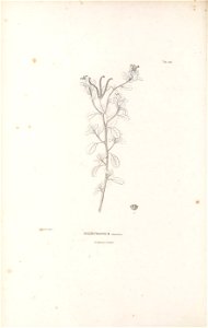 n107_w1150