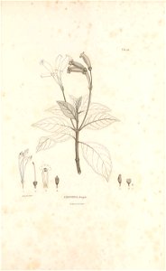 n518_w1150