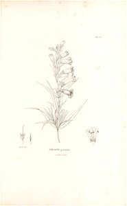 n462_w1150