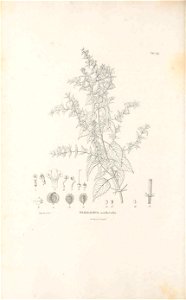 n403_w1150