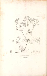 n173_w1150