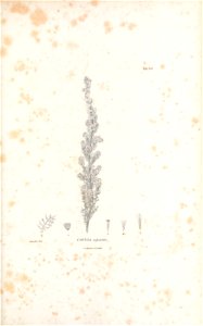 n116_w1150