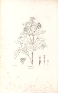 n49_w1150