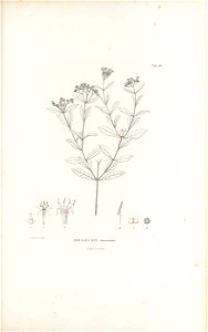 n462_w1150
