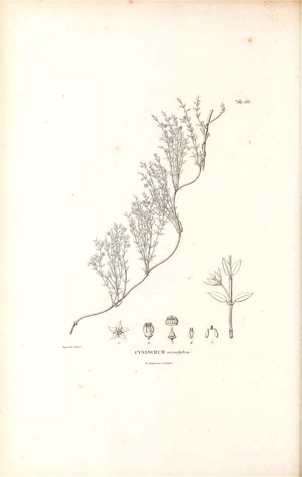 n255_w1150