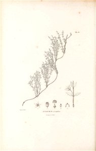 n255_w1150