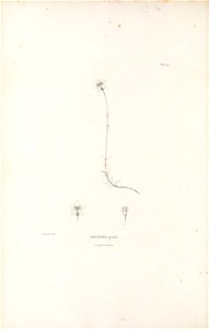 n197_w1150