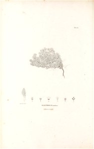 n103_w1150