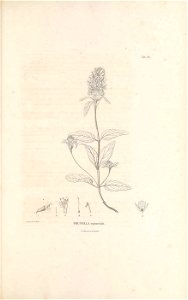n398_w1150