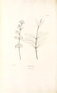 n345_w1150