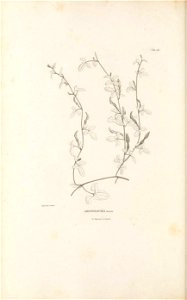 n165_w1150