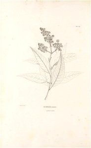 n447_w1150