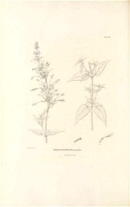 n395_w1150