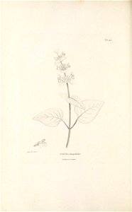 n343_w1150