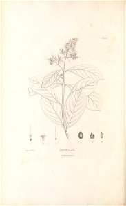 n279_w1150