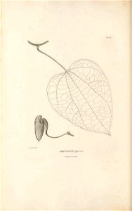 n163_w1150