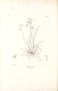 n587_w1150