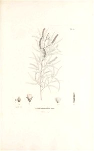 n34_w1150