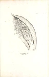 n526_w1150