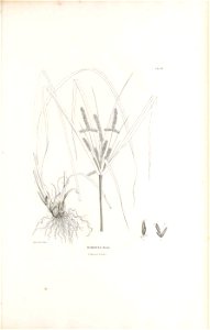 n422_w1150