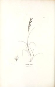 n357_w1150