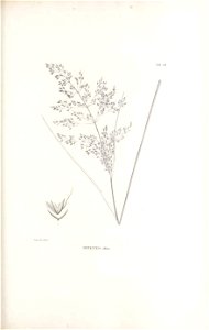 n306_w1150