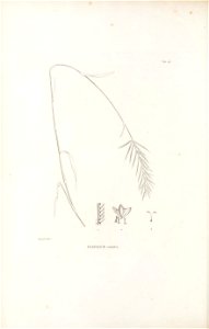 n201_w1150