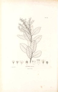 n379_w1150