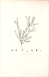 n329_w1150
