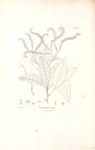 n95_w1150