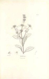 n390_w1150