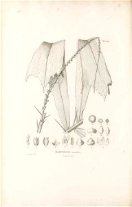 n521_w1150