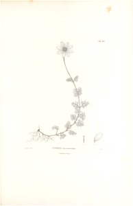n362_w1150