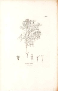 n291_w1150