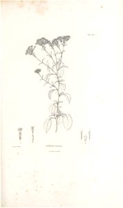 n228_w1150