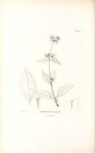 n163_w1150