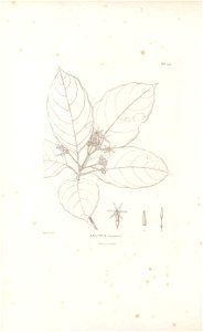 n537_w1150