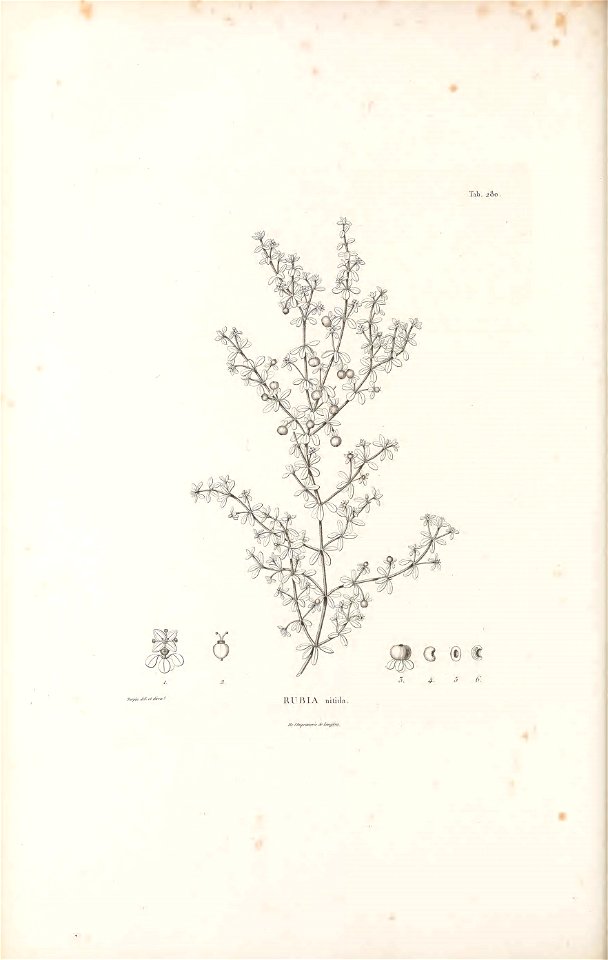 n445_w1150