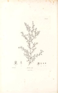 n445_w1150
