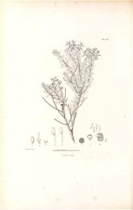 n375_w1150
