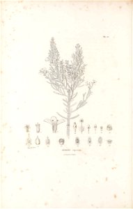 n181_w1150