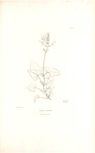 n376_w1150