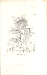 n526_w1150