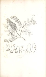 n390_w1150