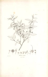 n178_w1150
