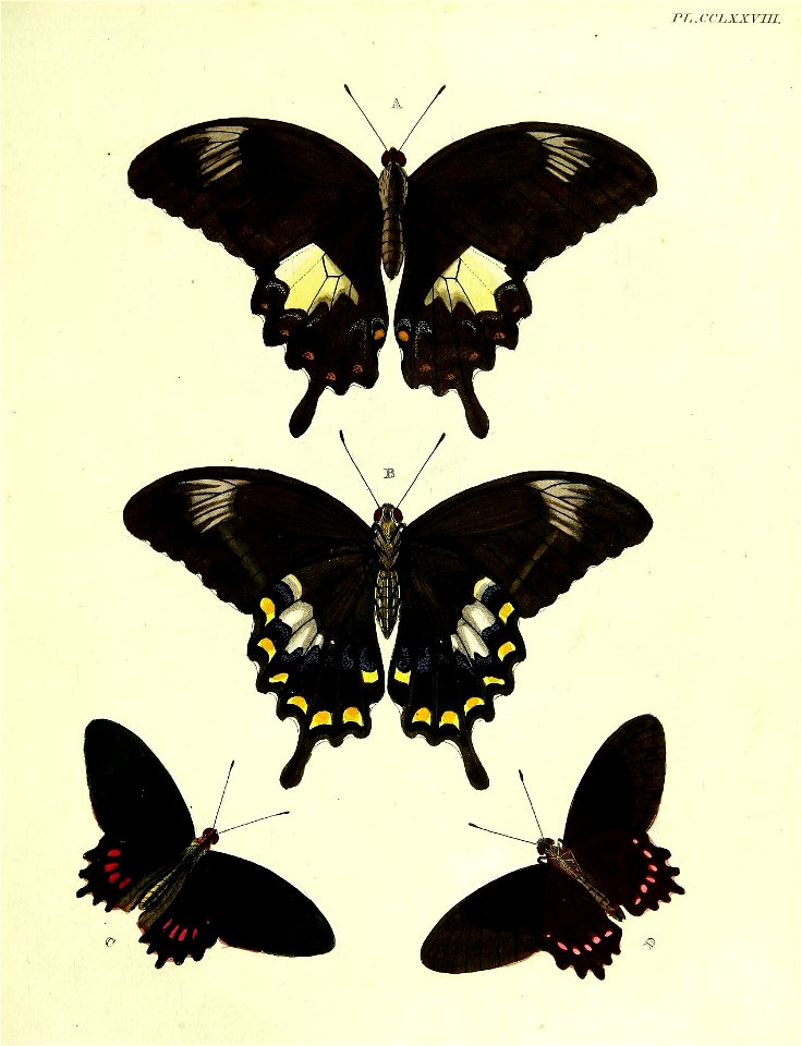 n178_w1150