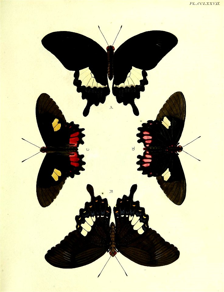 n176_w1150